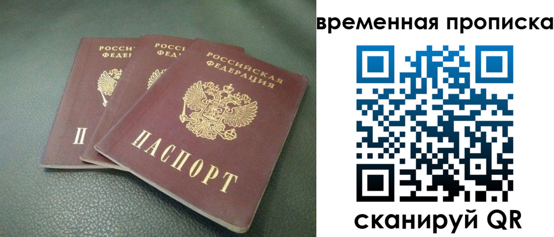 прописка гарантия в Саратовской области
